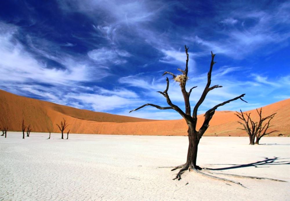 Lodge Safari - Desert, Rivers, and Adventure